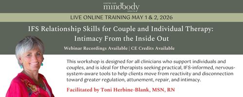 IFS Relationship Skills for Couple and Individual Therapy: Intimacy From the Inside Out